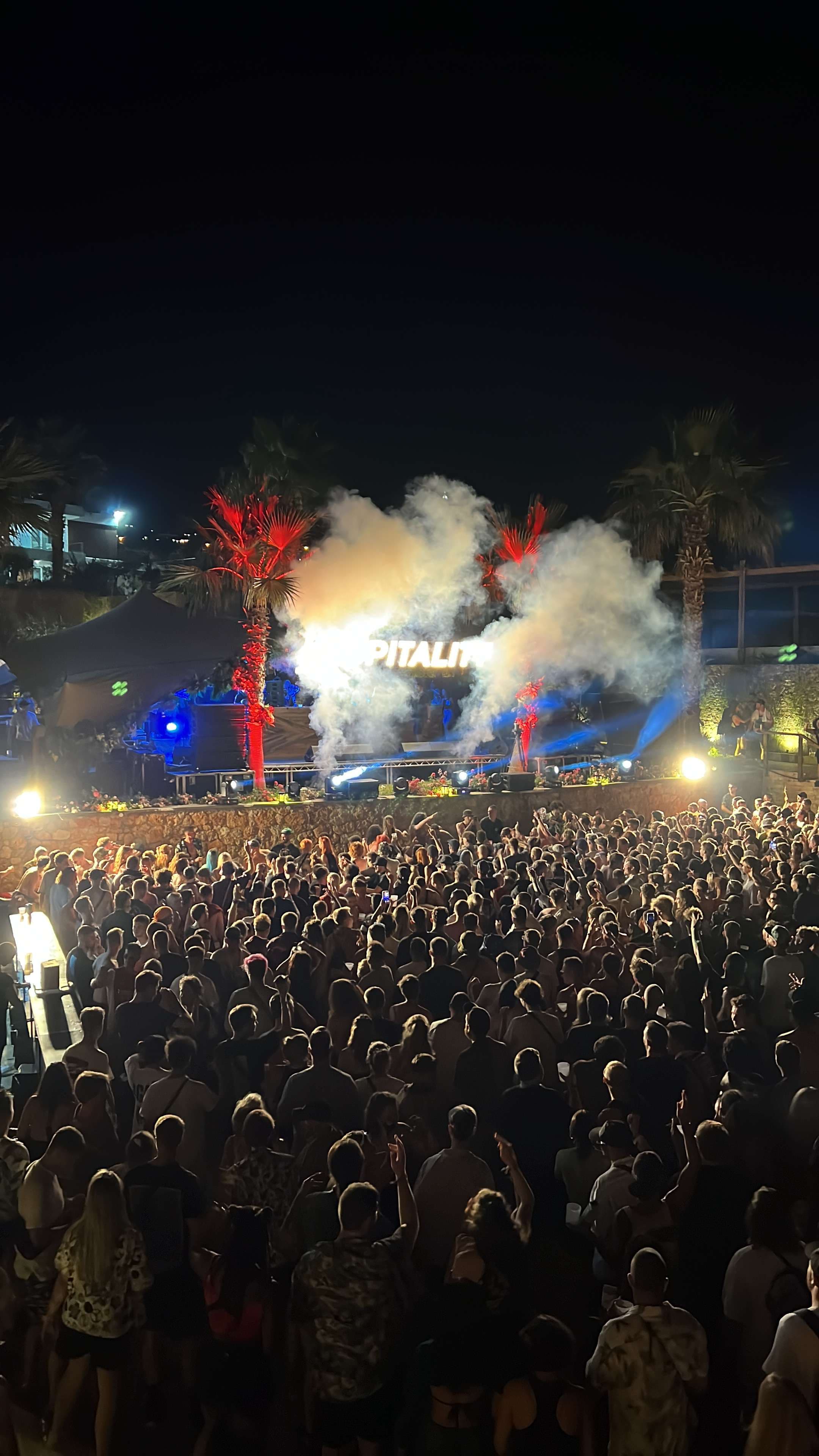 a crowd of people at a music festival at night